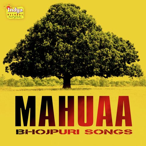 Deepa Ghosh Songs MP3 Download